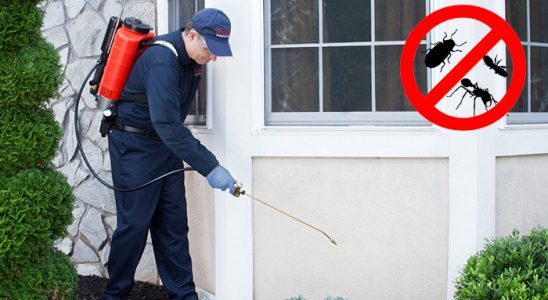 Yumurtalık Dezenfeksiyon böcek ilaçlama ve haşere kontrolü — ilaclama-tr.com